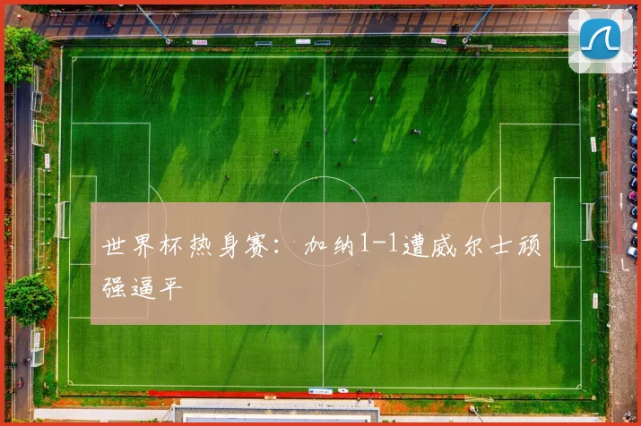 世界杯热身赛：加纳1-1遭威尔士顽强逼平